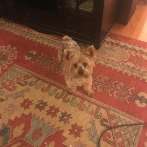 Meet your Posher, Debra